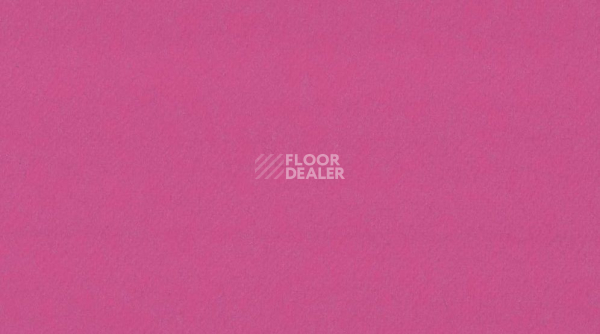 Линолеум Taralay Premium Compact Osmoz 4143 ROSE SHOCKING фото 1 | FLOORDEALER
